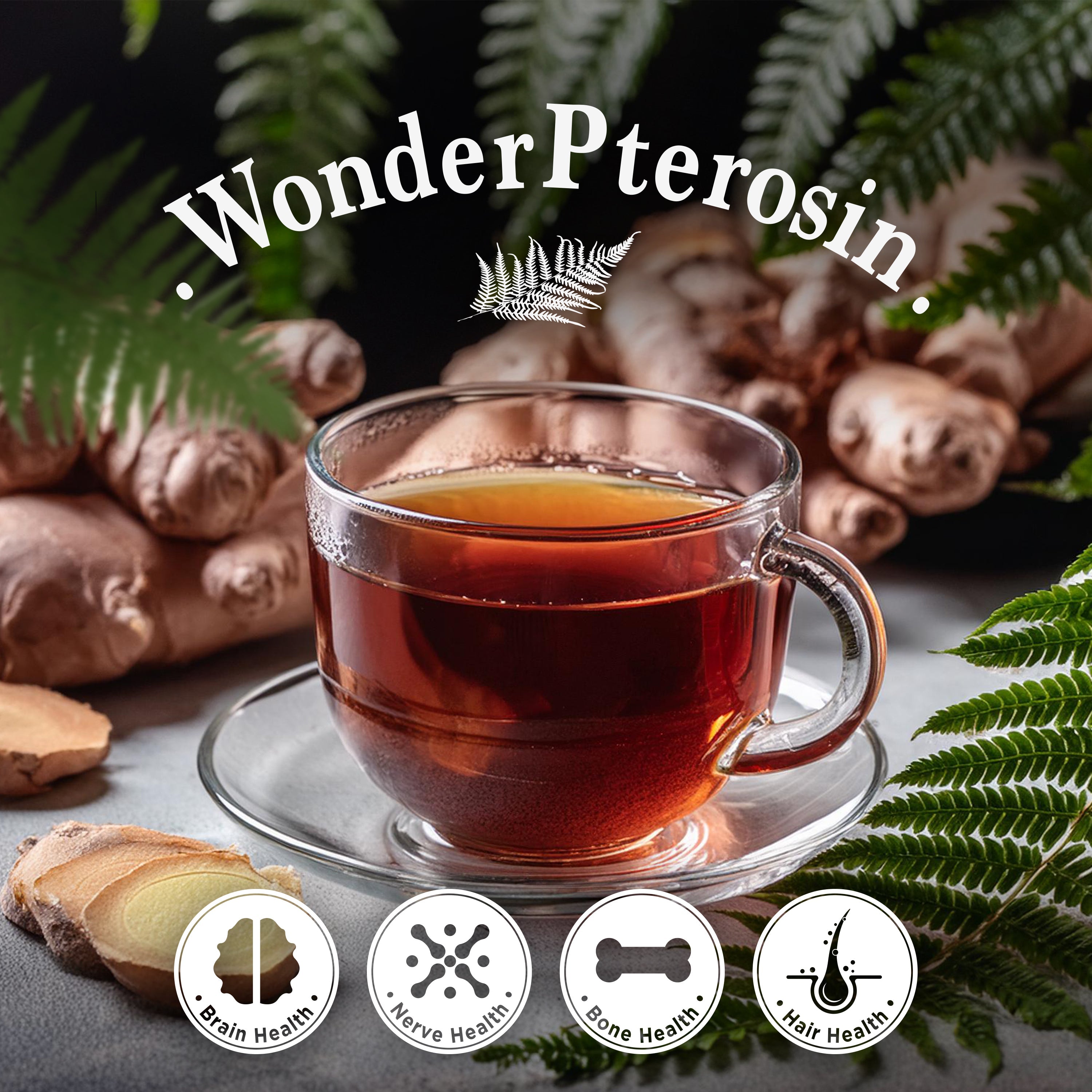 Wonder Pterosin – Pterosin & Ginger Liquid Tea for Healthy Brain and Bones, 2.37 fl oz (70 ml) x 30 pouches